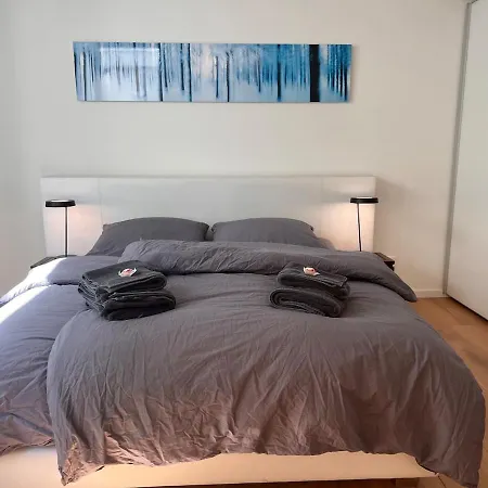 Ziegelhofring Appartement *